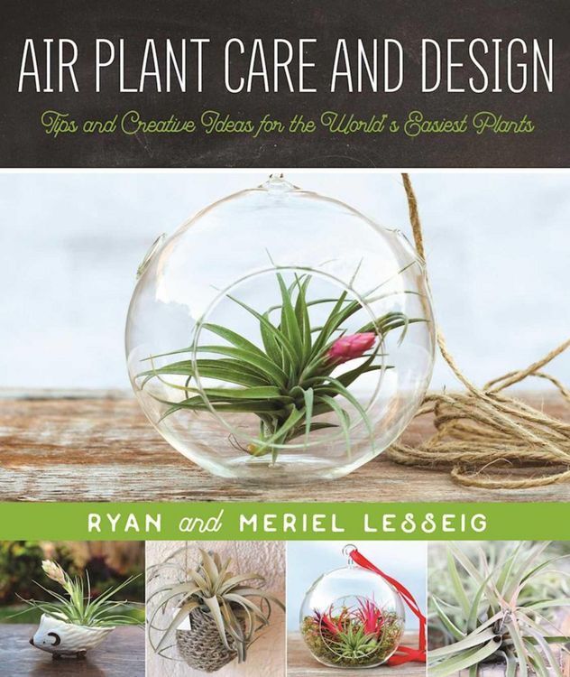 Produktbild: Air Plant Care and Design