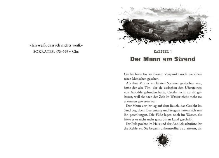 Produktbild: CLUE 1. Schiffbruch vor der Felseninsel
