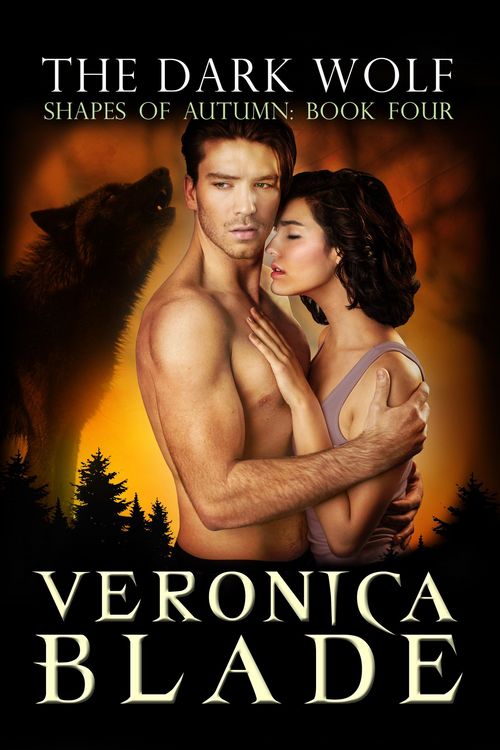 Produktbild: The Dark Wolf (Shapes of Autumn, #4)