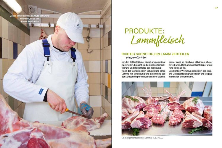 Produktbild: Alles vom Schaf!