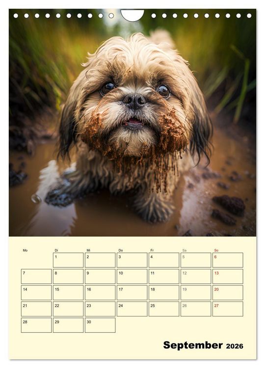 Produktbild: Shih Tzu Alarm. Gl&uuml;ckliche Wuschelk&ouml;pfe (Wandkalender 2026 DIN A4 hoch), CALVENDO Monatskalender