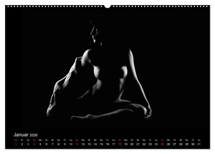 Produktbild: Kunstakt (Wandkalender 2026 DIN A2 quer), CALVENDO Monatskalender