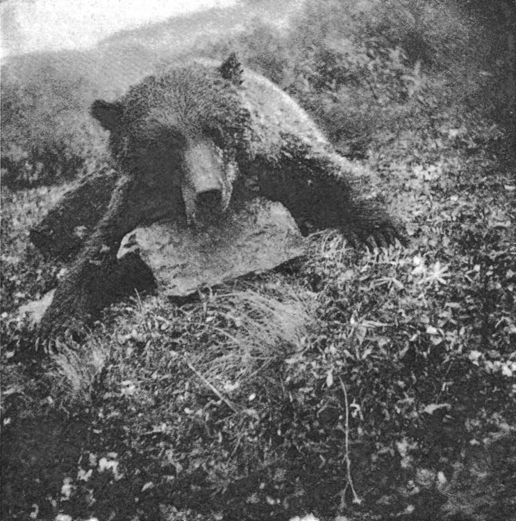 Produktbild: Jagdtage und Nordlichtn&auml;chte