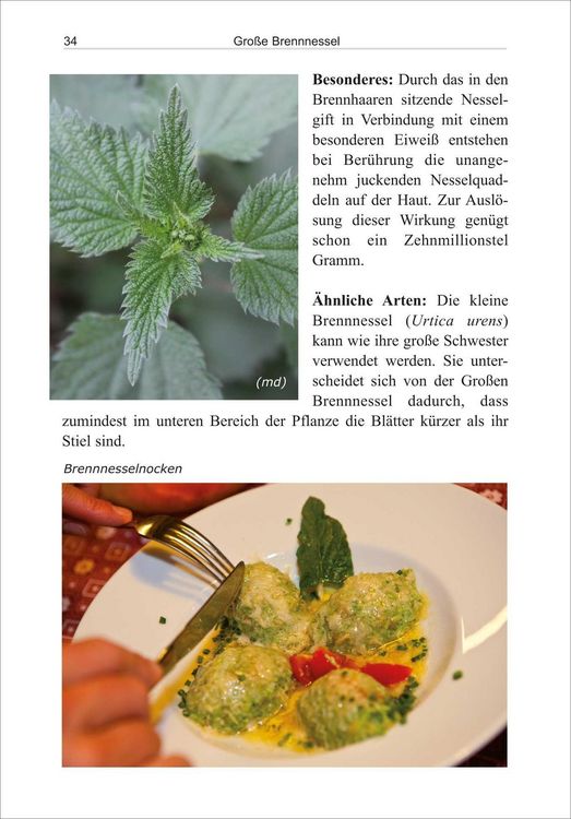 Produktbild: Essbare Wildpflanzen
