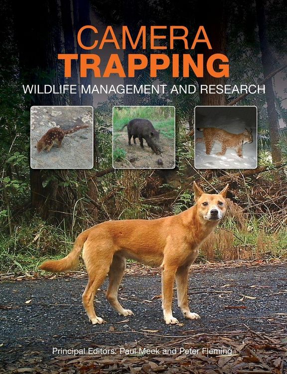 Produktbild: Camera Trapping