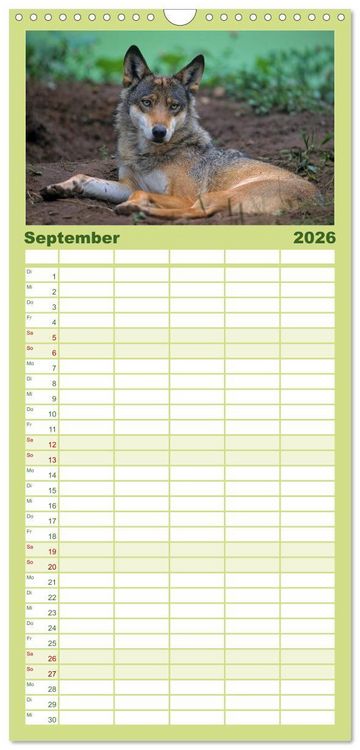 Produktbild: Familienplaner 2026 - Tiere des Waldes mit 5 Spalten (Wandkalender, 21 x 45 cm) CALVENDO