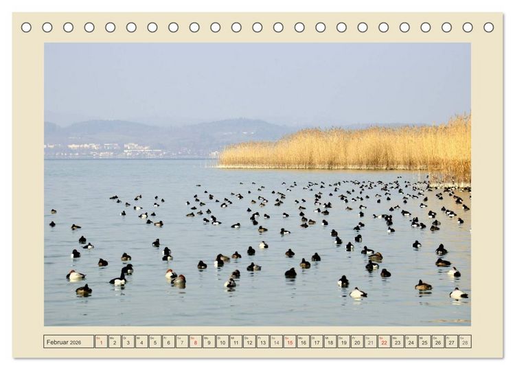 Produktbild: Impressionen vom sch&ouml;nen Bodensee (Tischkalender 2026 DIN A5 quer), CALVENDO Monatskalender