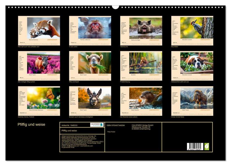 Produktbild: Pfiffig und weise (Wandkalender 2026 DIN A2 quer), CALVENDO Monatskalender