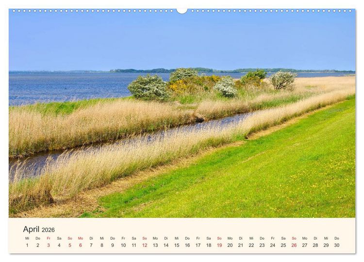 Produktbild: Ummanz - Naturparadies in der R&uuml;gener Boddenlandschaft (Wandkalender 2026 DIN A2 quer), CALVENDO Monatskalender
