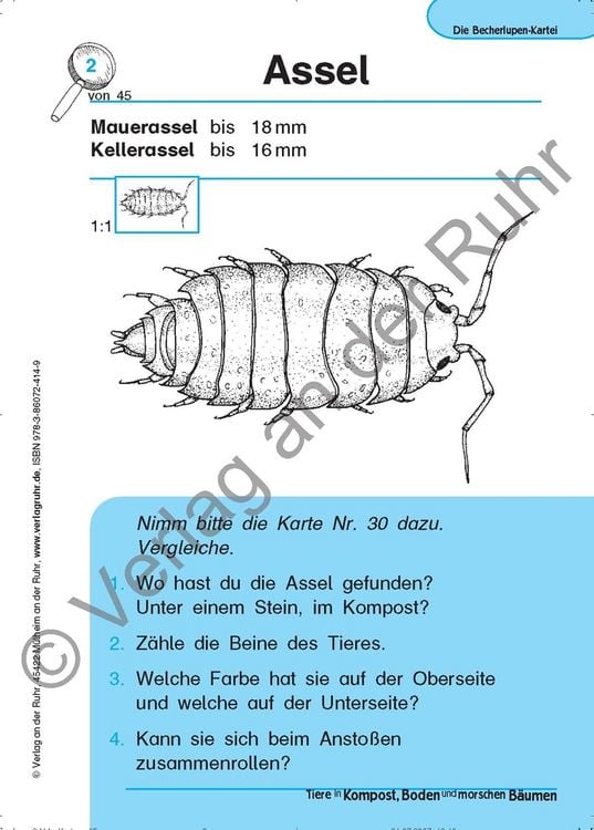 Produktbild: Tiere in Kompost, Boden und morschen B&auml;umen
