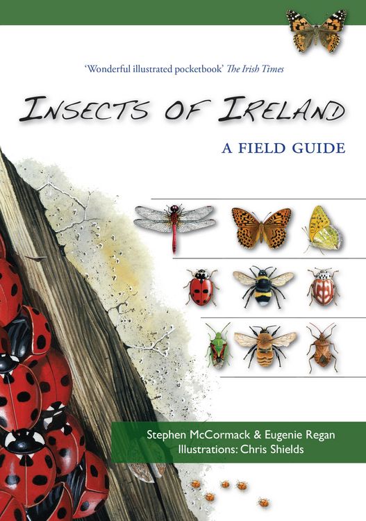 Produktbild: Insects of Ireland