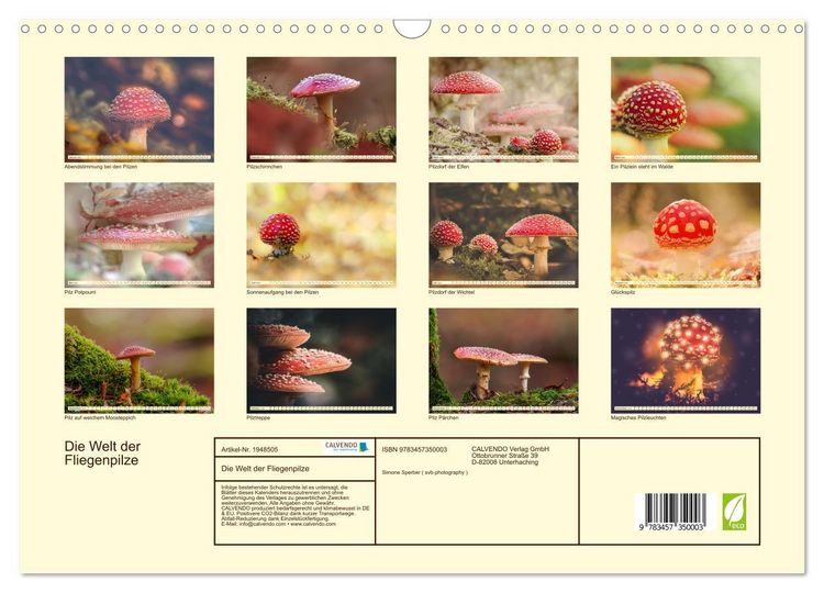 Produktbild: Die Welt der Fliegenpilze (Wandkalender 2026 DIN A3 quer), CALVENDO Monatskalender