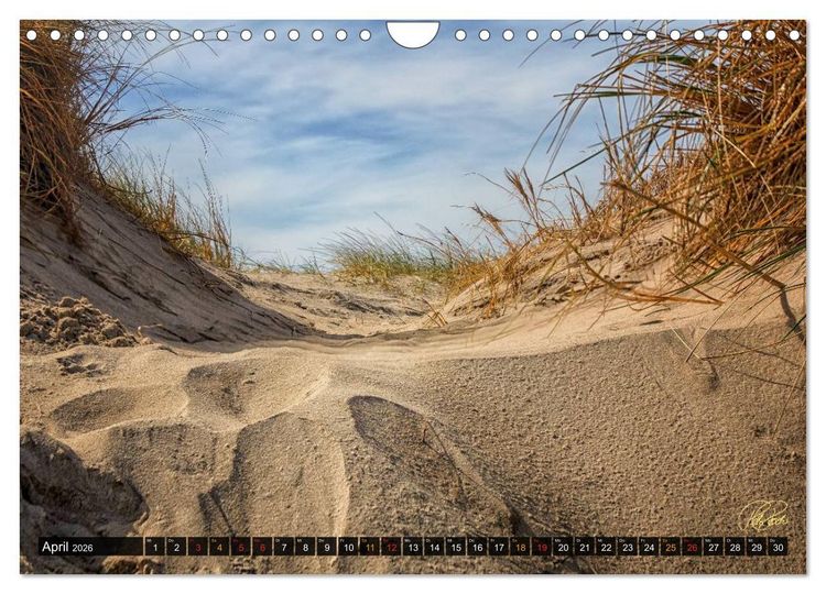 Produktbild: Nordsee-D&uuml;nen (Wandkalender 2026 DIN A4 quer), CALVENDO Monatskalender