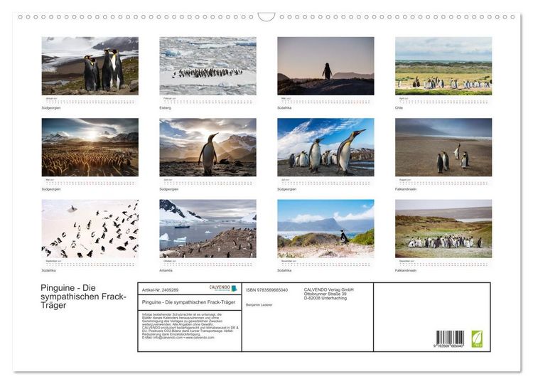 Produktbild: Pinguine - Die sympathischen Frack-Tr&auml;ger (Wandkalender 2027 DIN A2 quer), CALVENDO Monatskalender