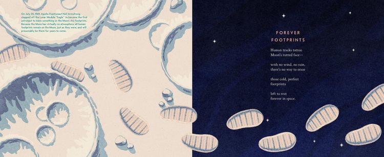 Produktbild: The Museum on the Moon