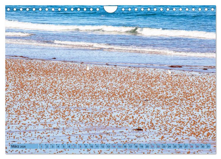 Produktbild: Bretagne und Normandie - Vor der Flut beobachten und entdecken (Wandkalender 2026 DIN A4 quer), CALVENDO Monatskalender