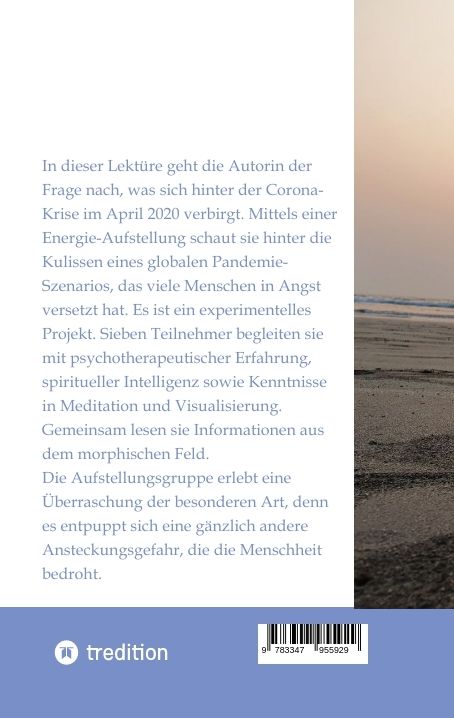 Produktbild: Was steckt hinter der Corona-Krise?