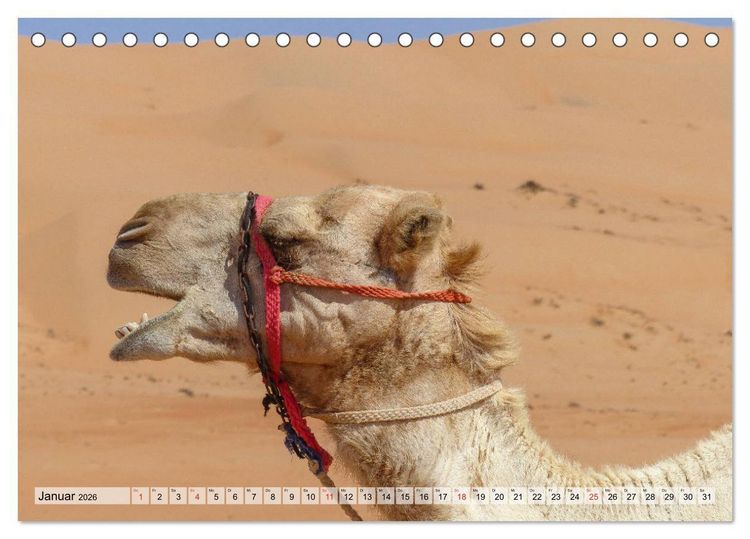 Produktbild: Oman - Zauberhafte Landschaften (Tischkalender 2026 DIN A5 quer), CALVENDO Monatskalender