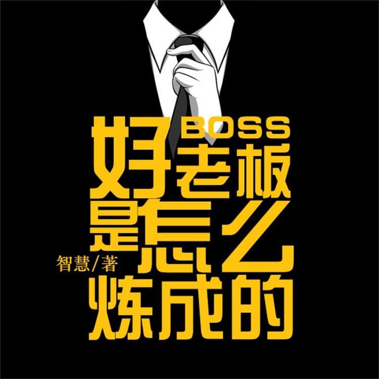 Produktbild: 好老板是怎么炼成的