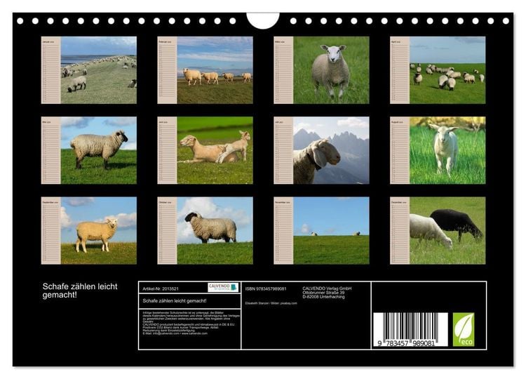 Produktbild: Schafe z&auml;hlen leicht gemacht! (Wandkalender 2026 DIN A4 quer), CALVENDO Monatskalender