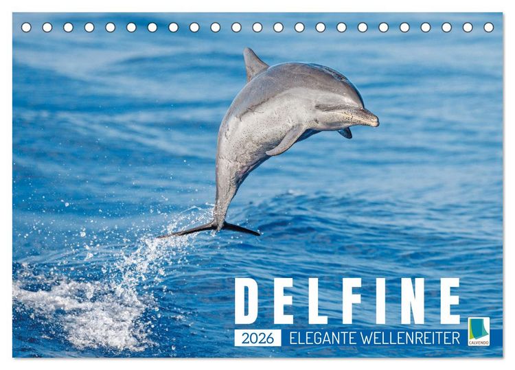 Produktbild: Delfine: Elegante Wellenreiter (Tischkalender 2026 DIN A5 quer), CALVENDO Monatskalender