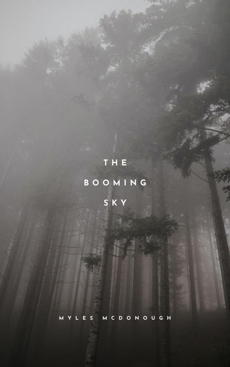 Produktbild: The Booming Sky