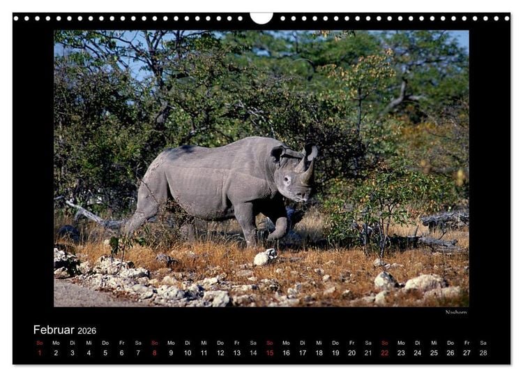 Produktbild: Wildtiere im Etosha Nationalpark (Wandkalender 2026 DIN A3 quer), CALVENDO Monatskalender