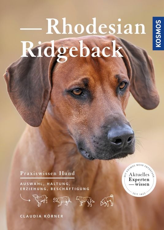 Produktbild: Rhodesian Ridgeback