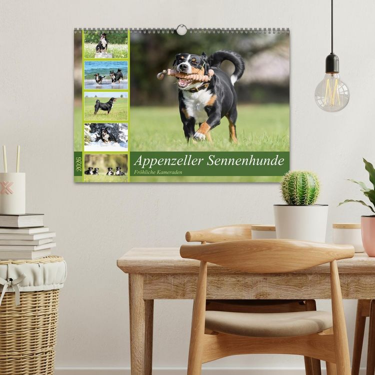 Produktbild: Appenzeller Sennenhunde - Fr&ouml;hliche Kameraden (Wandkalender 2026 DIN A3 quer), CALVENDO Monatskalender