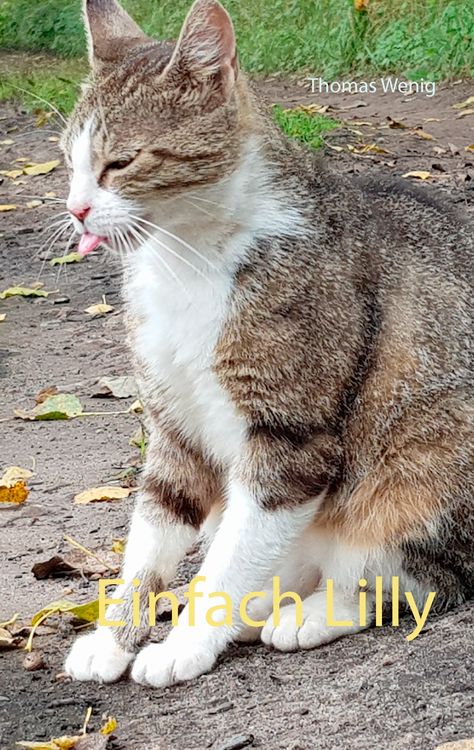 Produktbild: Einfach Lilly