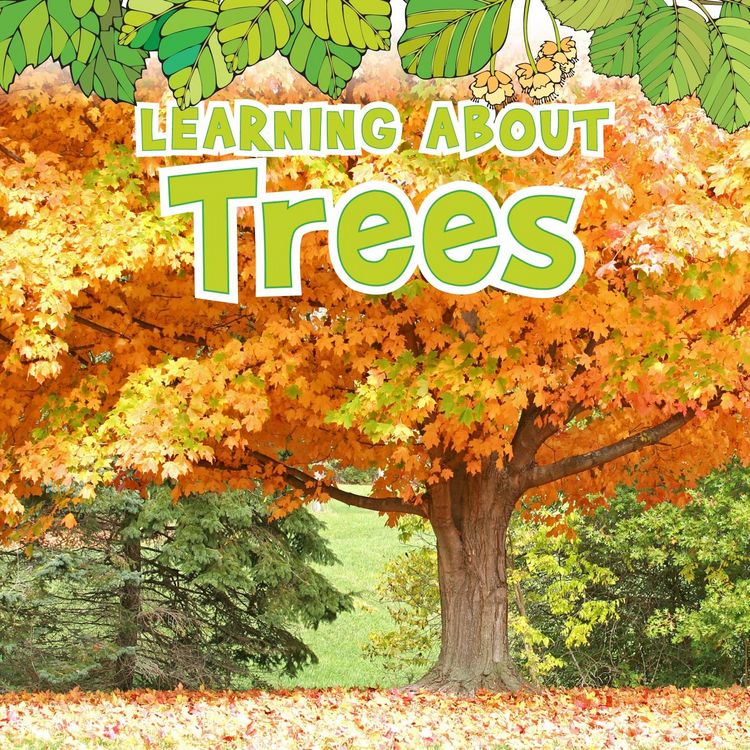 Produktbild: Learning About Trees