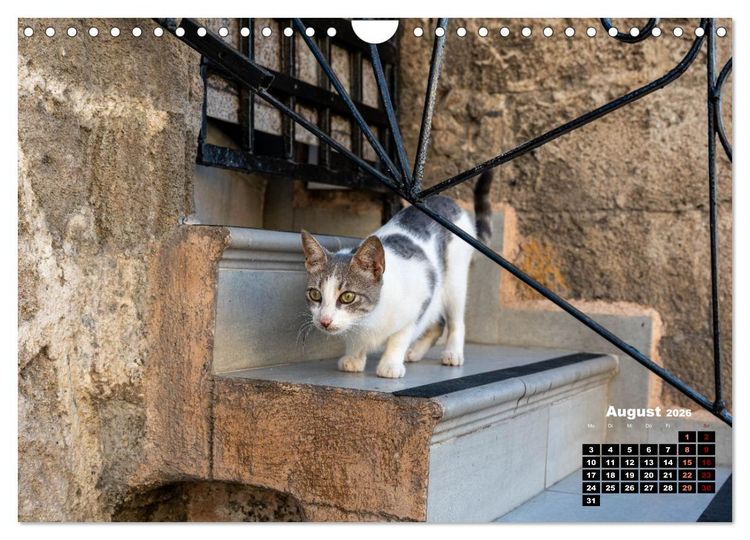 Produktbild: Katzen von Rhodos - Kleine G&ouml;tter auf vier Pfoten (Wandkalender 2026 DIN A4 quer), CALVENDO Monatskalender