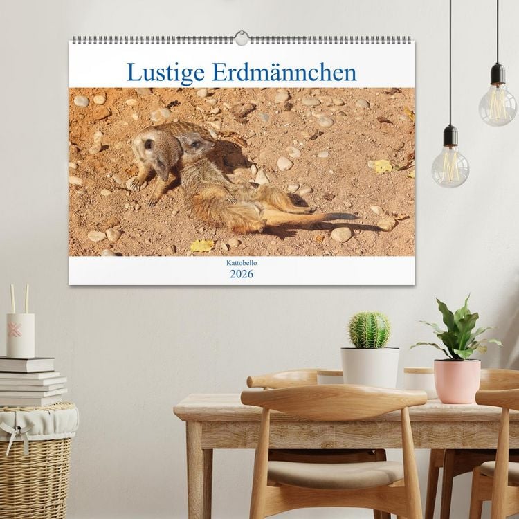 Produktbild: Lustige Erdm&auml;nnchen (Wandkalender 2026 DIN A2 quer), CALVENDO Monatskalender