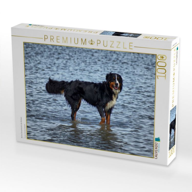 Produktbild: CALVENDO Puzzle Berner Sennenhund in der Nordsee | 1000 Teile Lege-Gr&ouml;&szlig;e 64x48cm Foto-Puzzle f&uuml;r gl&uuml;ckliche Stunden