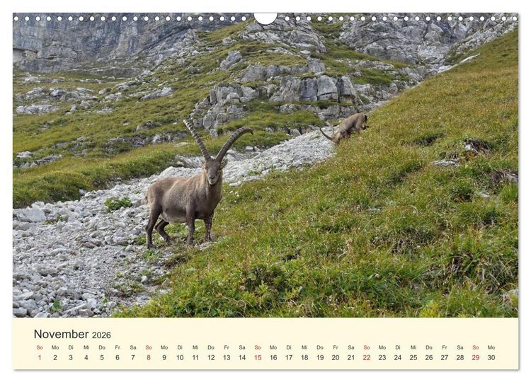 Produktbild: Wandergl&uuml;ck im Allg&auml;u (Wandkalender 2026 DIN A3 quer), CALVENDO Monatskalender