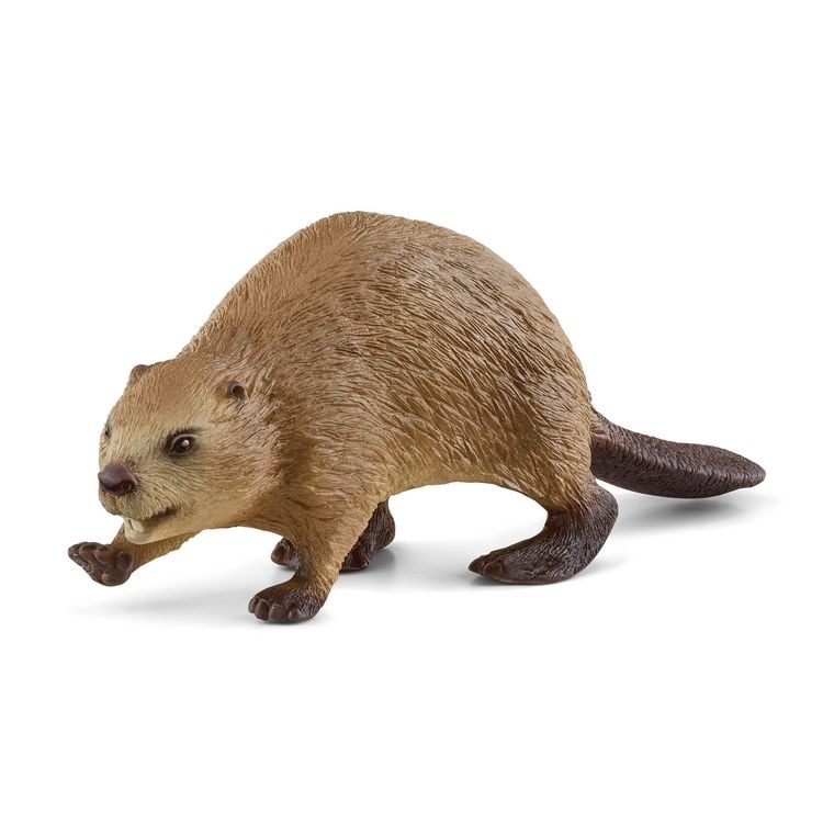 Produktbild: schleich&reg; 14855 Biber