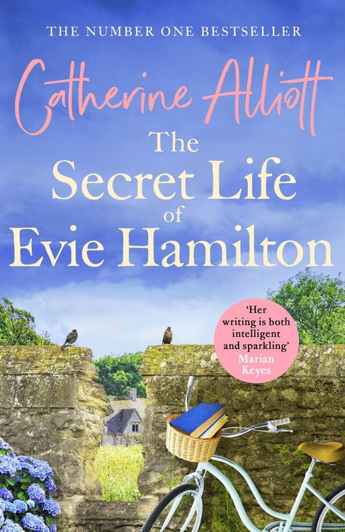 Produktbild: The Secret Life of Evie Hamilton