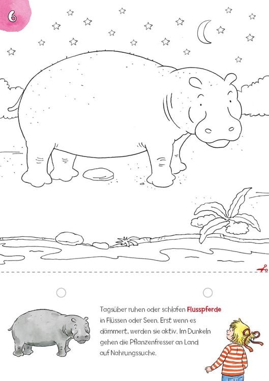Produktbild: Conni Gelbe Reihe (Besch&auml;ftigungsbuch): Mein cooler Block der Tiere