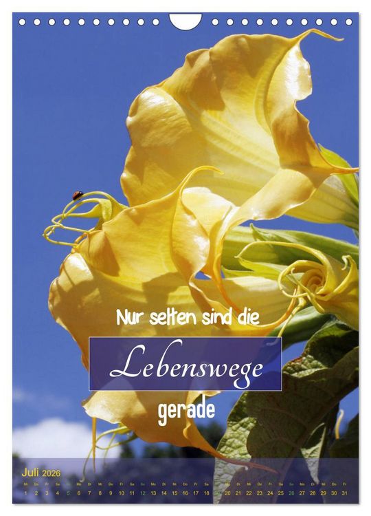 Produktbild: Lebensfreude in harten Zeiten (Wandkalender 2026 DIN A4 hoch), CALVENDO Monatskalender