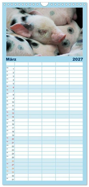 Produktbild: Familienplaner 2027 - Tierische Schweinerei mit 5 Spalten (Wandkalender, 21 x 45 cm) CALVENDO