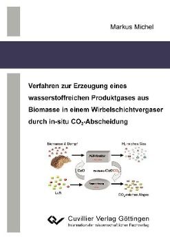 Produktbild: Michel, M: Verfahren zur Erzeugung eines wasserstoffreichen