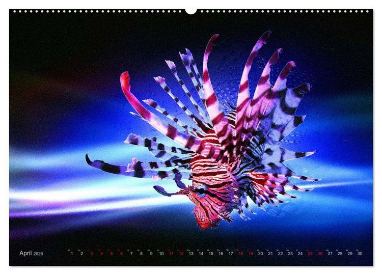 Produktbild: Artwork Unterwasser - Erlebnis Tauchen (hochwertiger Premium Wandkalender 2026 DIN A2 quer), Kunstdruck in Hochglanz