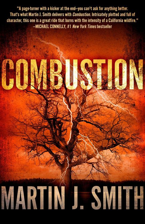 Produktbild: Smith, M: Combustion