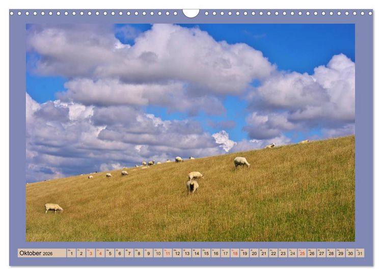 Produktbild: B&uuml;sum an der Nordsee (Wandkalender 2026 DIN A3 quer), CALVENDO Monatskalender