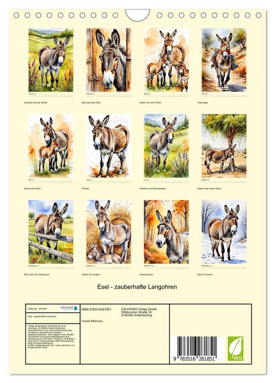 Produktbild: Esel - zauberhafte Langohren (Wandkalender 2026 DIN A4 hoch), CALVENDO Monatskalender