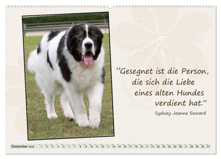 Produktbild: Mit Hundezitaten gut durchs Jahr (hochwertiger Premium Wandkalender 2026 DIN A2 quer), Kunstdruck in Hochglanz