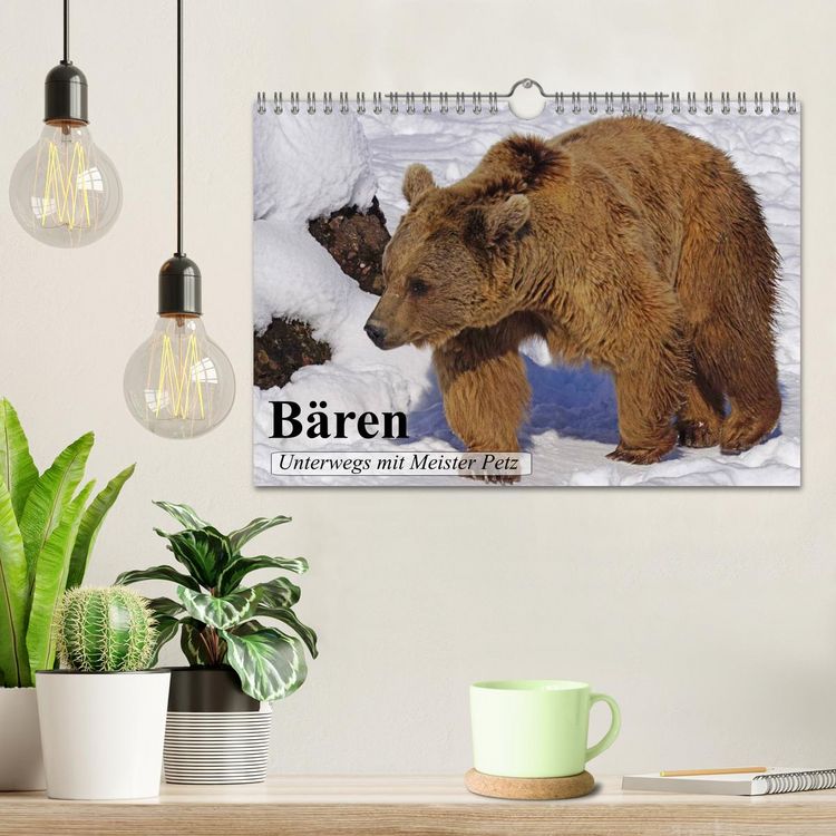 Produktbild: B&auml;ren. Unterwegs mit Meister Petz (Wandkalender 2026 DIN A4 quer), CALVENDO Monatskalender