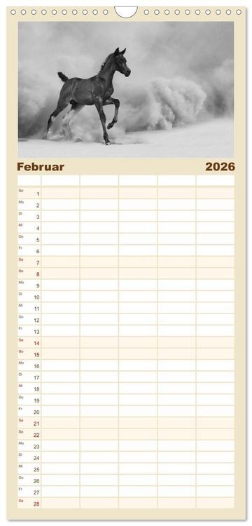 Produktbild: Familienplaner 2026 - Arabische Pferde mit 5 Spalten (Wandkalender, 21 x 45 cm) CALVENDO