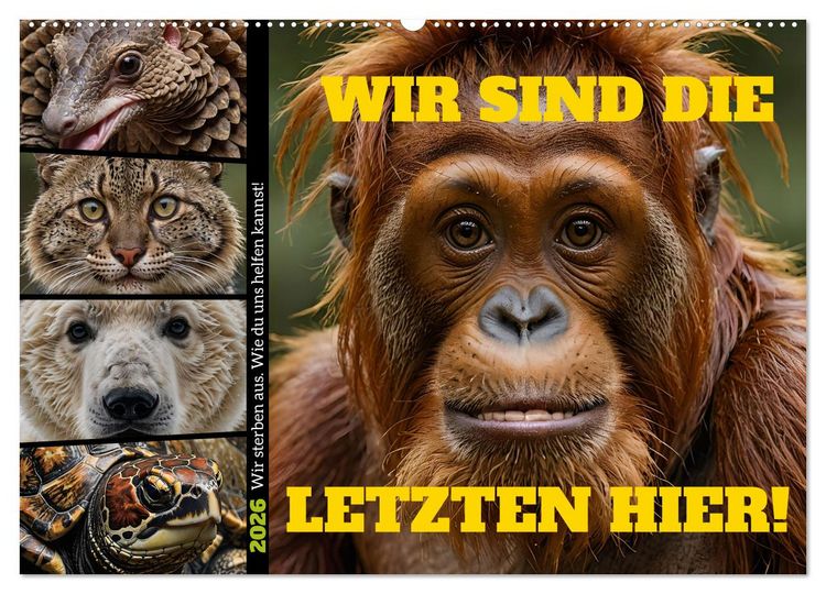 Produktbild: Wir sind die Letzten hier! Wir sterben aus. Wie du uns helfen kannst! (Wandkalender 2026 DIN A2 quer), CALVENDO Monatskalender