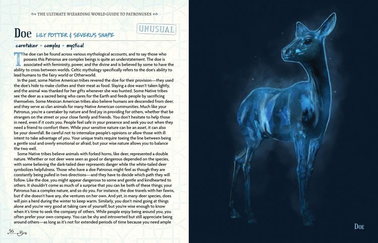 Produktbild: The Ultimate Wizarding World Guide to Patronuses